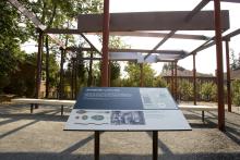 Symposium Traces History of African American Studies at the University 